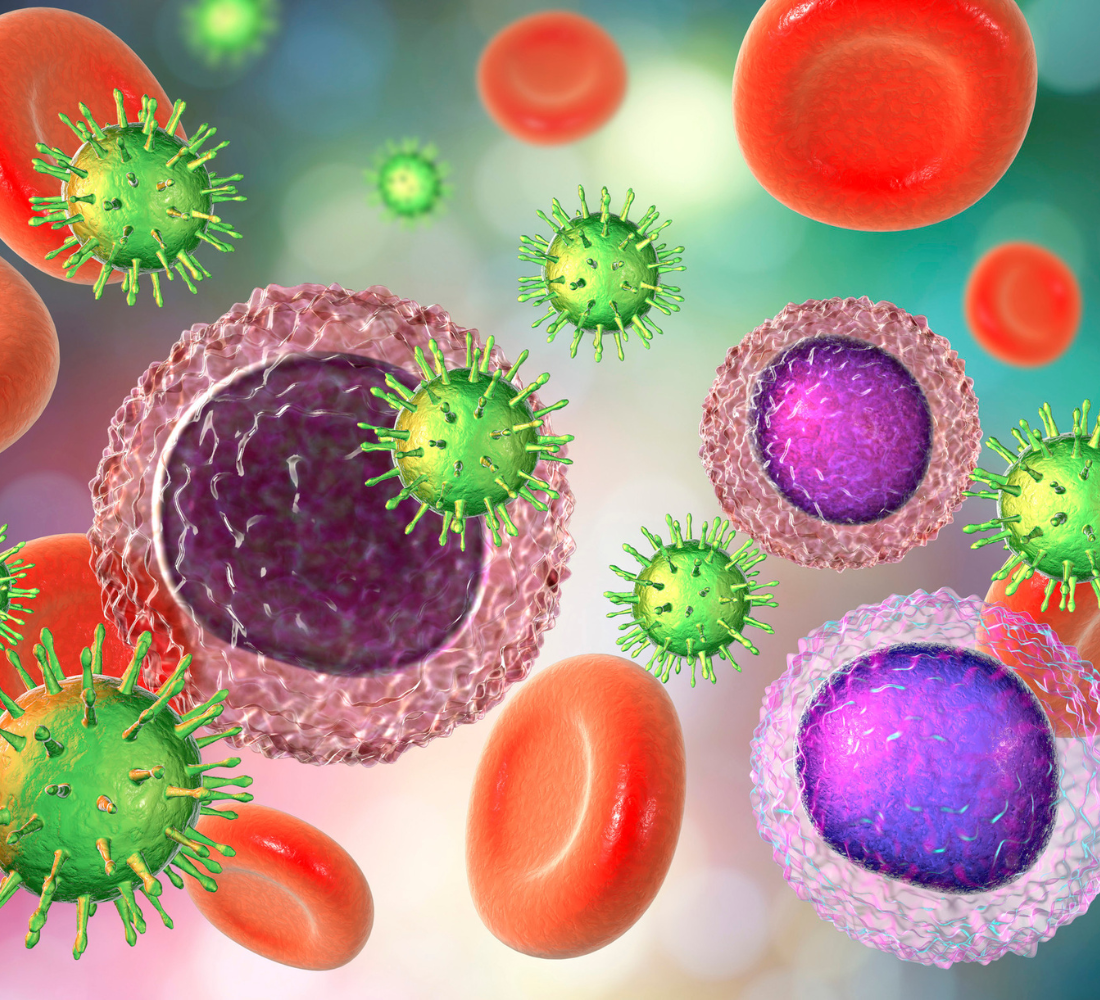 Immunity plays a crucial role in maintaining human health.