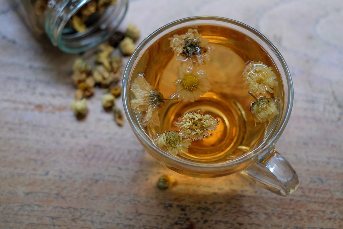Beyond the Screen: A TCM Doctor’s Guide to 4 Herbal Teas for Naturally