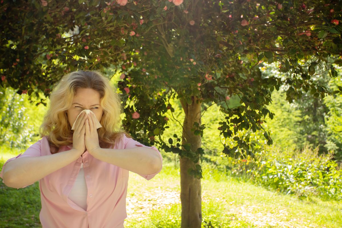 How Weather Affects Seasonal Allergies Eyes and What You Can Do